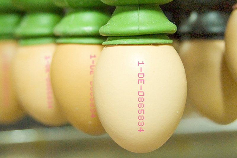 jet3up ep Maquina para marcar huevos Ecuador